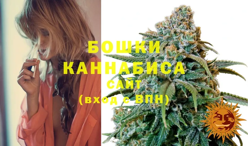 Бошки марихуана THC 21%  Бирск 